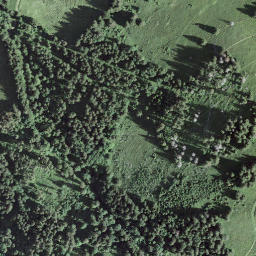 Satellite imagery of La Vudalla, CH