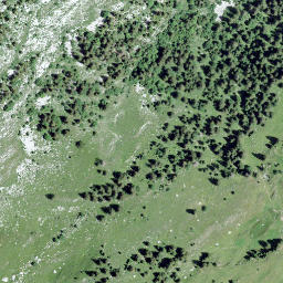 Satellite imagery of Vanil de l'Ardille, CH