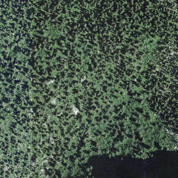 Satellite imagery of Dent de Ruth, CH