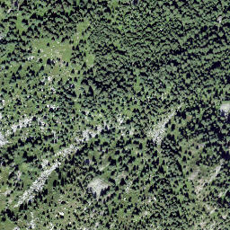 Satellite imagery of Nesslabüel, CH