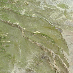 Satellite imagery of Piz Costainas, CH