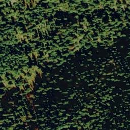 Satellite imagery of Tamarack Ridge, US