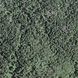 Satellite imagery of 195, FR