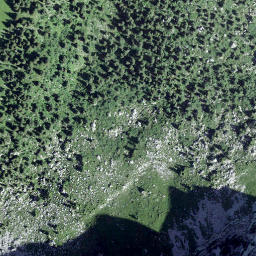 Satellite imagery of Dent de Savigny, CH