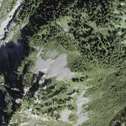 Satellite imagery of Zällerpüfle, CH