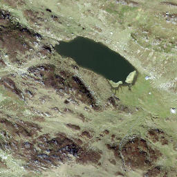 Satellite imagery of Pizzo Tom, CH