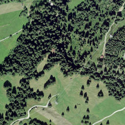 Satellite imagery of Rütigutsch, CH