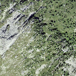 Satellite imagery of Nesslabüel, CH