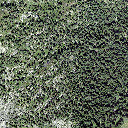 Satellite imagery of Nesslabüel, CH