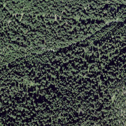 Satellite imagery of Mutta Radunda, CH