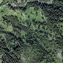 Satellite imagery of Piz digl Gurschus, CH