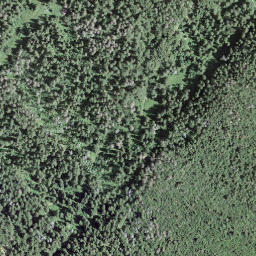 Satellite imagery of La Roche Bresenche, CH