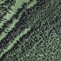 Satellite imagery of Col du Marchairuz, CH