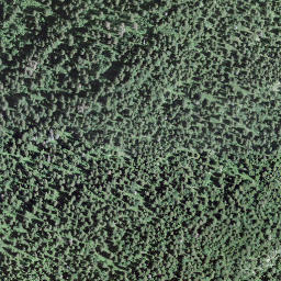 Satellite imagery of Col du Marchairuz, CH