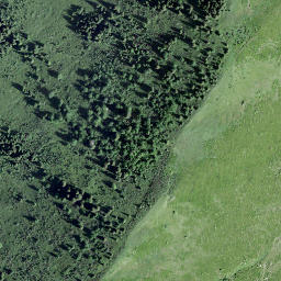 Satellite imagery of Les Merlas, CH