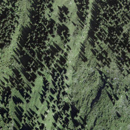 Satellite imagery of Ankestock, CH