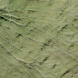Satellite imagery of Tälligrat, CH