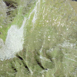 Satellite imagery of Schenadüi, CH