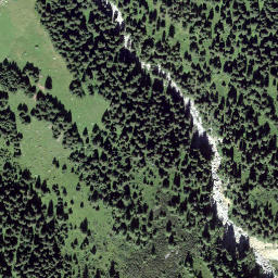 Satellite imagery of Rütigutsch, CH