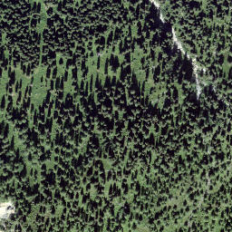 Satellite imagery of Rütigutsch, CH