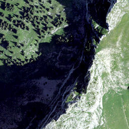 Satellite imagery of Les Pucelles, CH