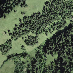 Satellite imagery of Schneitgrat, CH