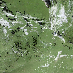 Satellite imagery of Scheidegg, CH