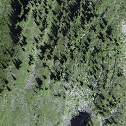 Satellite imagery of Ankestock, CH