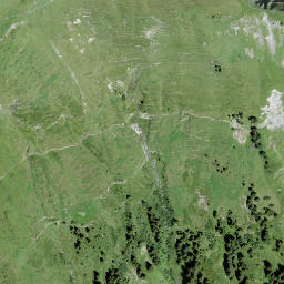 Satellite imagery of Bryndli, CH
