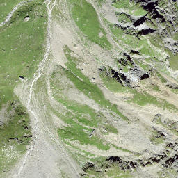 Satellite imagery of Piz Spegnas, CH