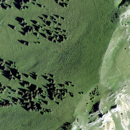 Satellite imagery of Les Merlas, CH