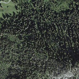 Satellite imagery of Holzflue, CH