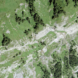 Satellite imagery of Bryndli, CH
