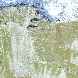 Satellite imagery of Fibbia, CH