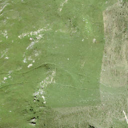 Satellite imagery of Piz Spegnas, CH