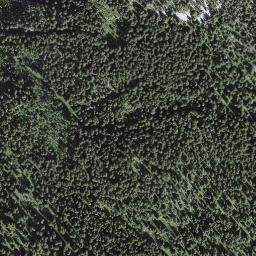 Satellite imagery of Lerchflue, CH