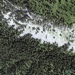 Satellite imagery of Lerchflue, CH