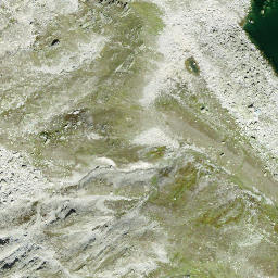 Satellite imagery of Grosses Sidelhorn, CH
