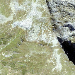 Satellite imagery of Fibbia, CH