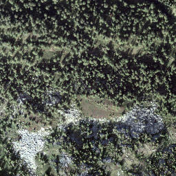 Satellite imagery of Mottone, CH