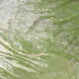 Satellite imagery of Piz Spegnas, CH