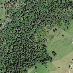 Satellite imagery of Schauenegg, CH