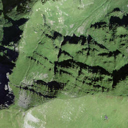 Satellite imagery of Raufligrat, CH