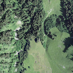 Satellite imagery of La Cuâ, CH
