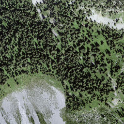 Satellite imagery of Lerchflue, CH