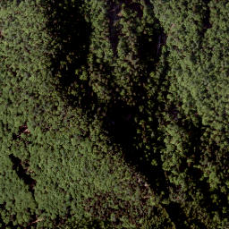 Satellite imagery of Gratschenitzen, AT