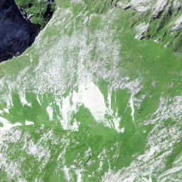 Satellite imagery of Vanil Noir, CH