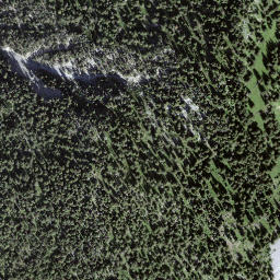 Satellite imagery of Gyrshubel, CH