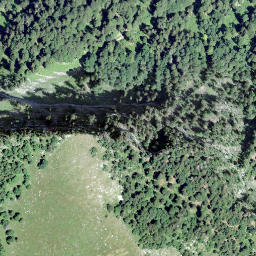 Satellite imagery of Vanil de l'Arche, CH
