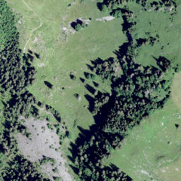Satellite imagery of La Cuâ, CH